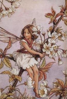 Cecily 3